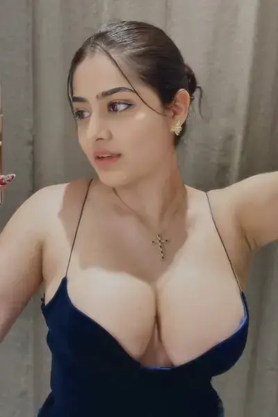 Delhi Northeast high porifle eacort service 9717477837